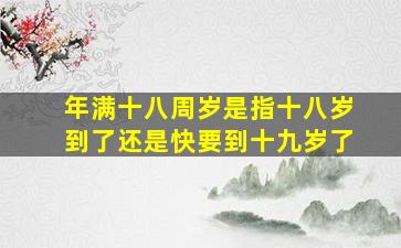 年满十八周岁是指十八岁到了还是快要到十九岁了