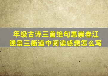 年级古诗三首绝句惠崇春江晚景三衢道中阅读感想怎么写