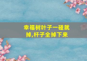 幸福树叶子一碰就掉,杆子全掉下来