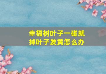 幸福树叶子一碰就掉叶子发黄怎么办