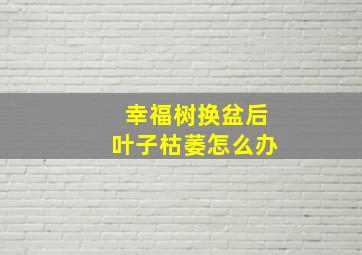 幸福树换盆后叶子枯萎怎么办