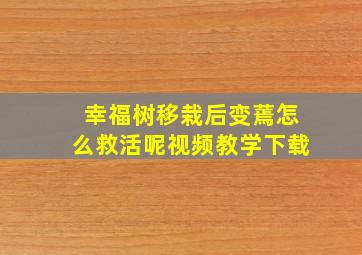 幸福树移栽后变蔫怎么救活呢视频教学下载