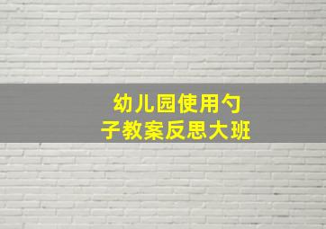 幼儿园使用勺子教案反思大班