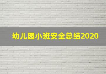 幼儿园小班安全总结2020