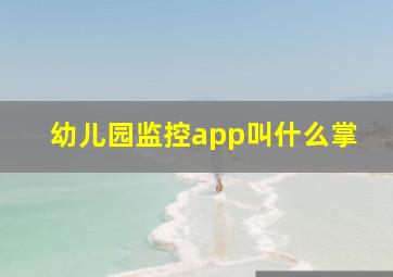 幼儿园监控app叫什么掌