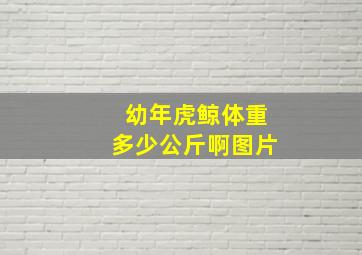 幼年虎鲸体重多少公斤啊图片