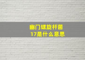 幽门螺旋杆菌17是什么意思