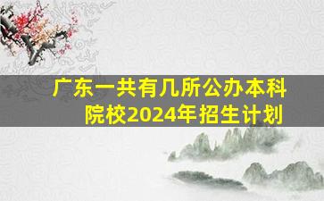 广东一共有几所公办本科院校2024年招生计划