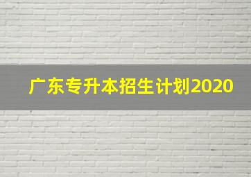 广东专升本招生计划2020