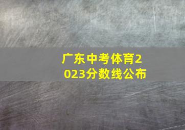 广东中考体育2023分数线公布