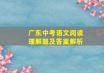 广东中考语文阅读理解题及答案解析