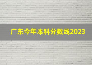 广东今年本科分数线2023