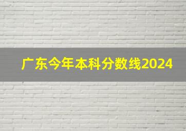 广东今年本科分数线2024