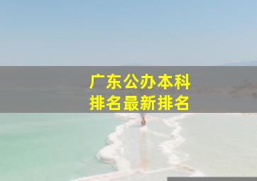 广东公办本科排名最新排名