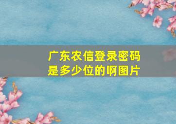 广东农信登录密码是多少位的啊图片