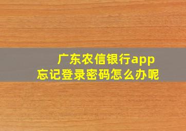 广东农信银行app忘记登录密码怎么办呢