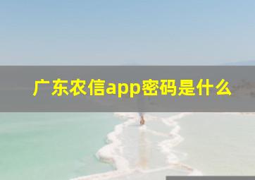 广东农信app密码是什么