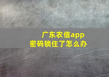 广东农信app密码锁住了怎么办