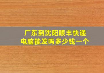 广东到沈阳顺丰快递电脑能发吗多少钱一个