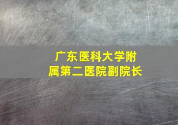 广东医科大学附属第二医院副院长