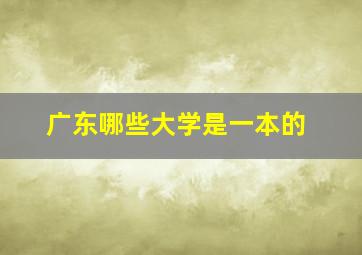 广东哪些大学是一本的