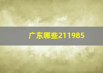 广东哪些211985