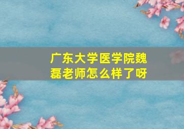 广东大学医学院魏磊老师怎么样了呀