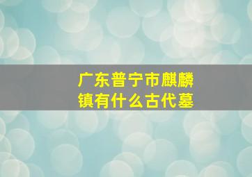 广东普宁市麒麟镇有什么古代墓