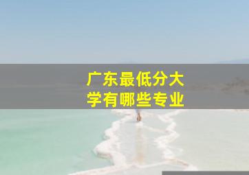 广东最低分大学有哪些专业