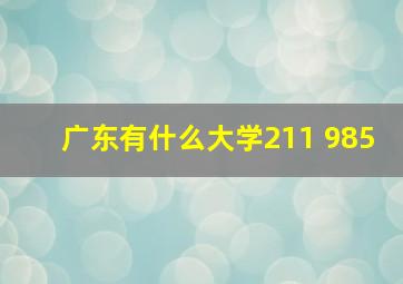 广东有什么大学211 985