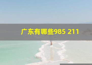 广东有哪些985 211