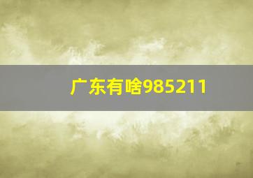 广东有啥985211