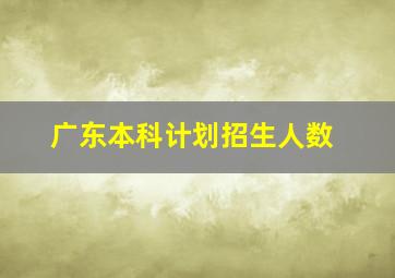 广东本科计划招生人数