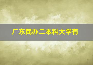 广东民办二本科大学有