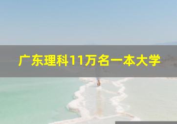 广东理科11万名一本大学