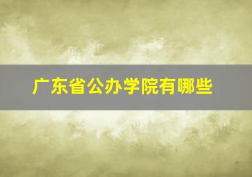 广东省公办学院有哪些