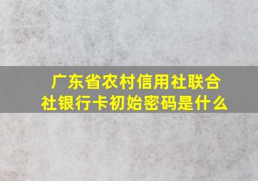 广东省农村信用社联合社银行卡初始密码是什么