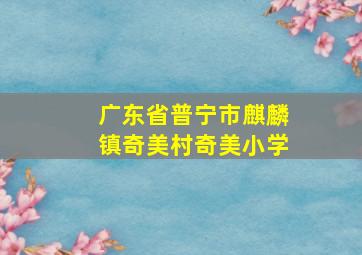 广东省普宁市麒麟镇奇美村奇美小学