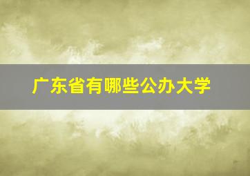 广东省有哪些公办大学