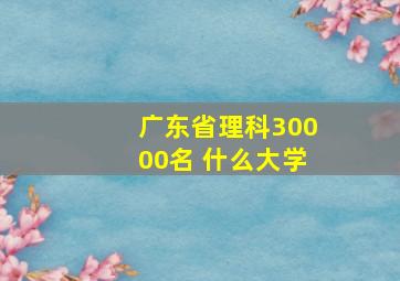 广东省理科30000名 什么大学