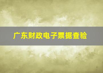 广东财政电子票据查验