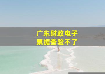 广东财政电子票据查验不了