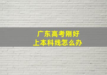 广东高考刚好上本科线怎么办