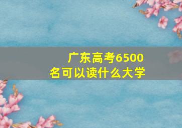 广东高考6500名可以读什么大学