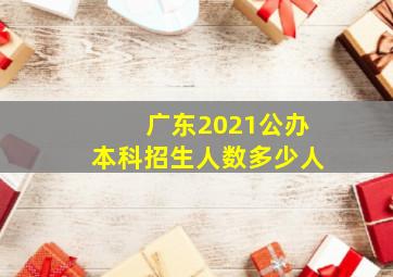 广东2021公办本科招生人数多少人