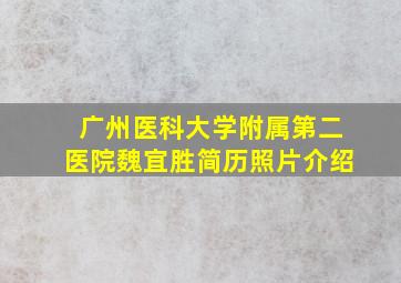 广州医科大学附属第二医院魏宜胜简历照片介绍