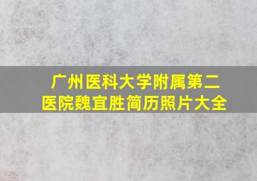 广州医科大学附属第二医院魏宜胜简历照片大全