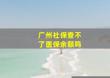 广州社保查不了医保余额吗