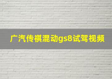 广汽传祺混动gs8试驾视频