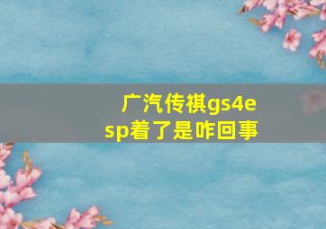 广汽传祺gs4esp着了是咋回事